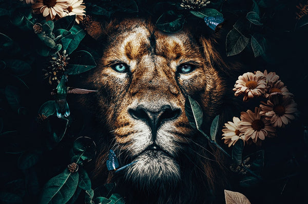 Lion LS