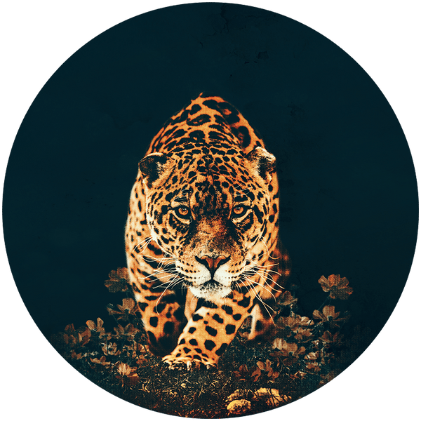 Leopard RND