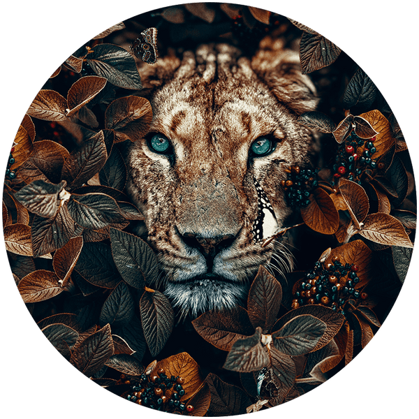 Lioness RND
