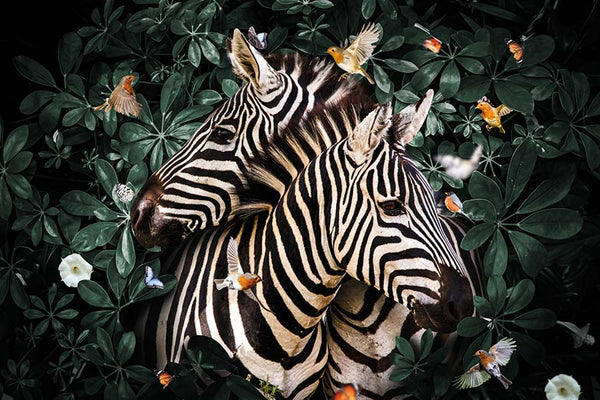 Zebra Couple LS