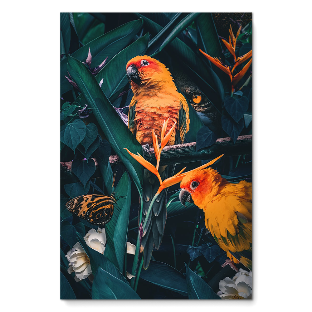 Jungle