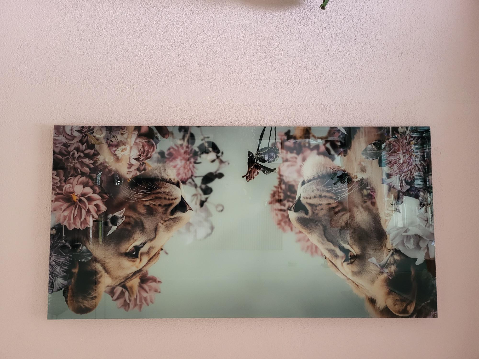 Lion and Lioness Duet #2 PAN
