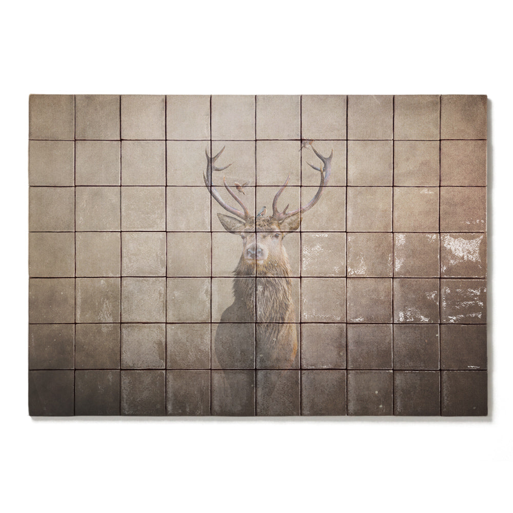 formaat 100 x 70 cm