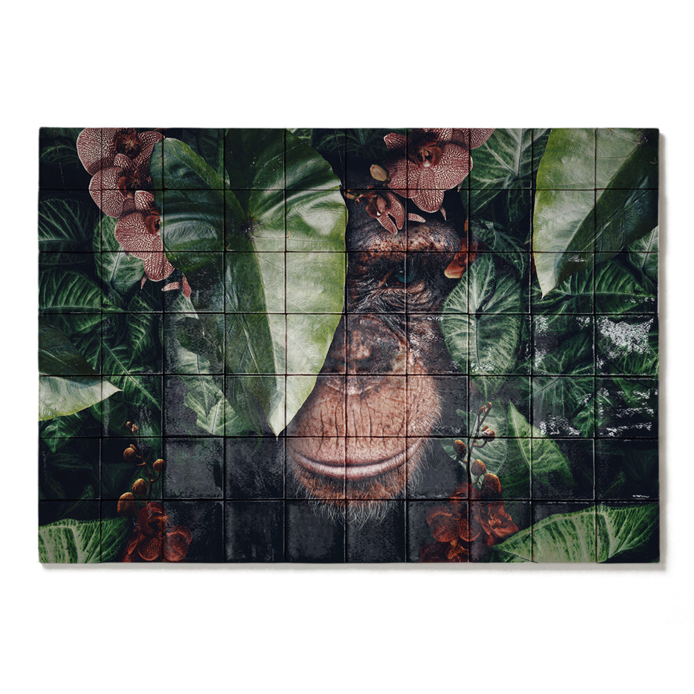 formaat 100 x 70 cm