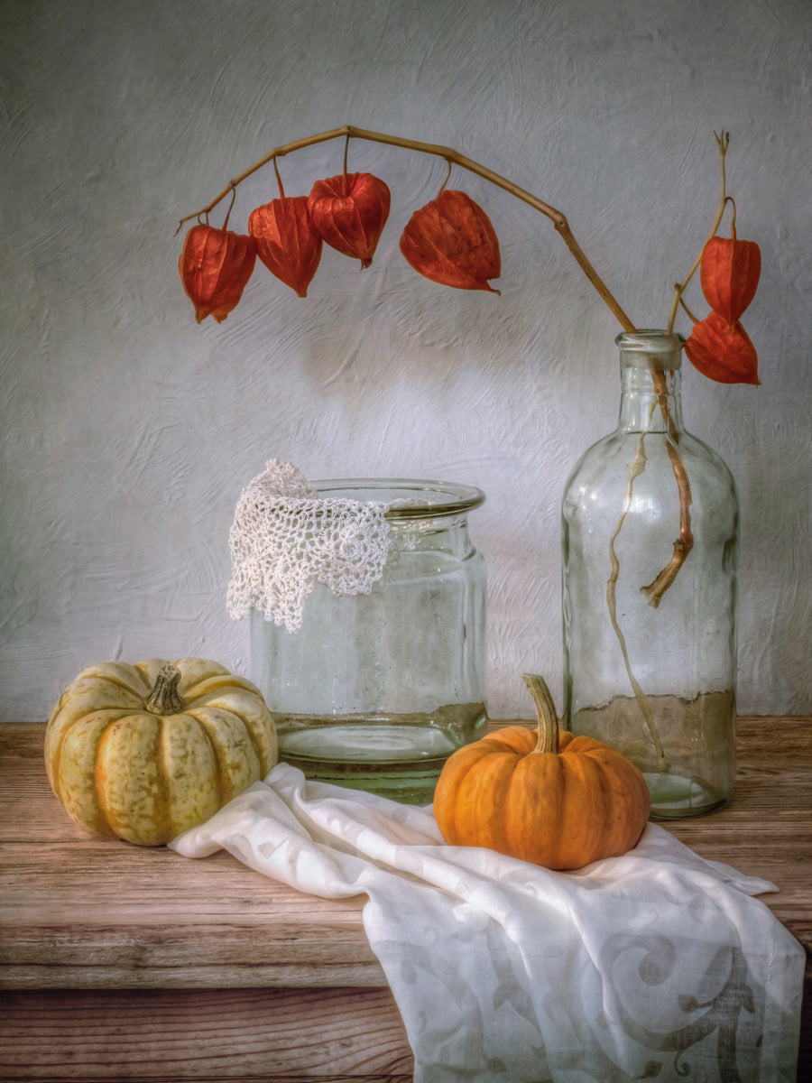 Still life with Physalis and Pumpkin