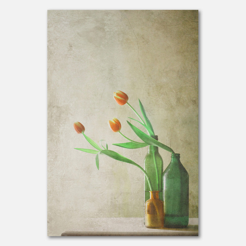 Three Tulips