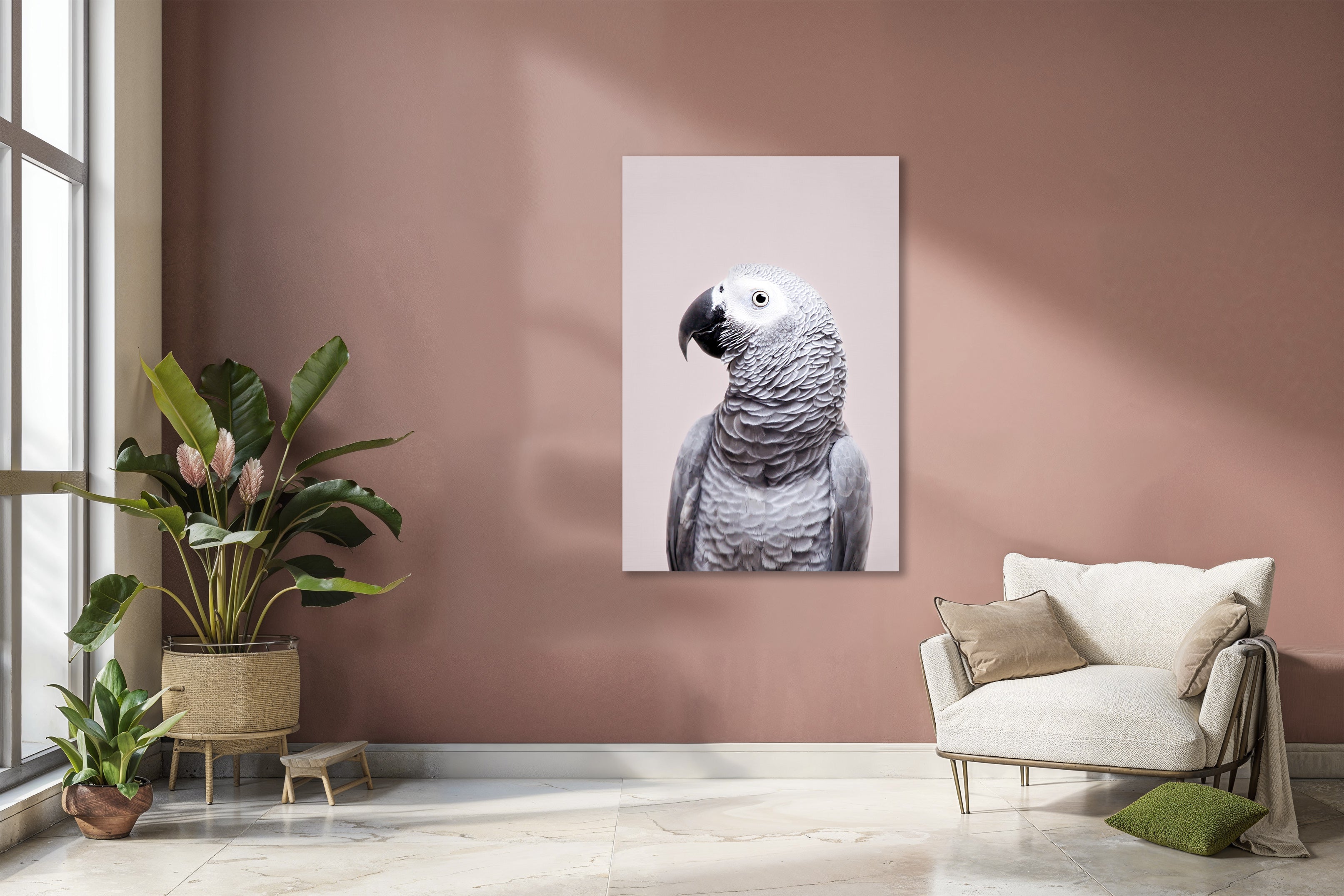 African Grey