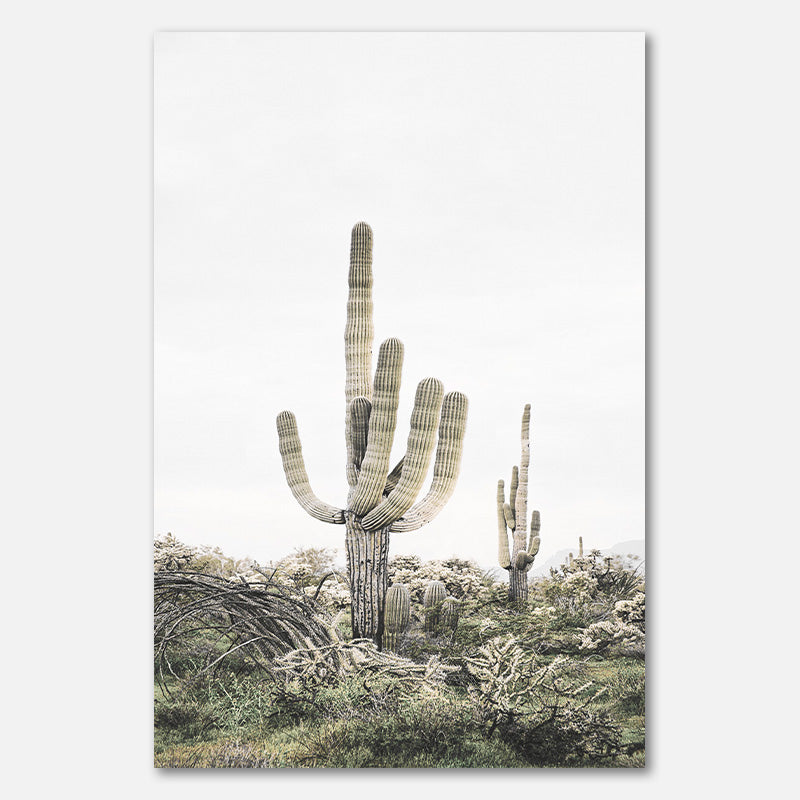 Pink Saguaro