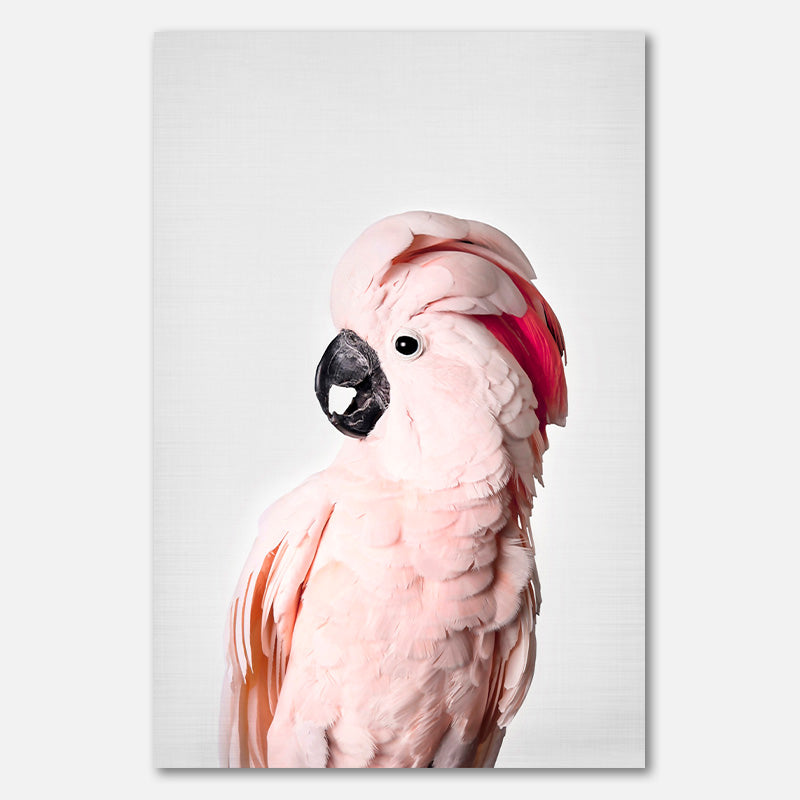 Pink Cockatoo