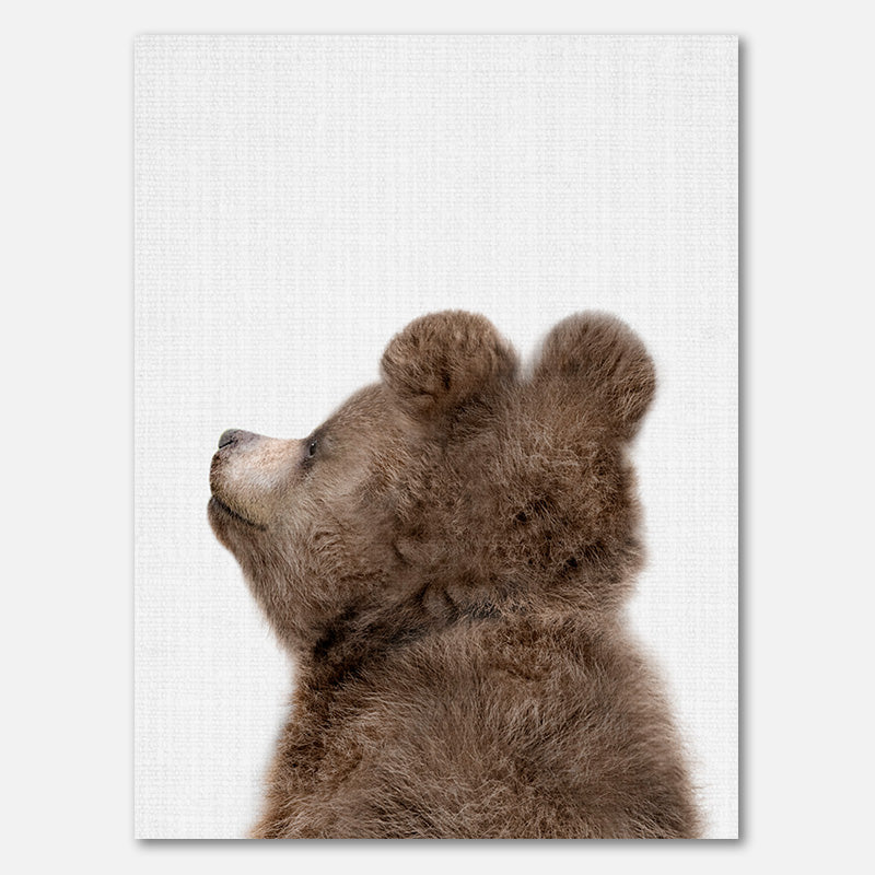 Peekaboo Baby Bär Rücken