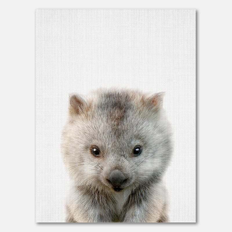 Peekaboo Baby Wombat