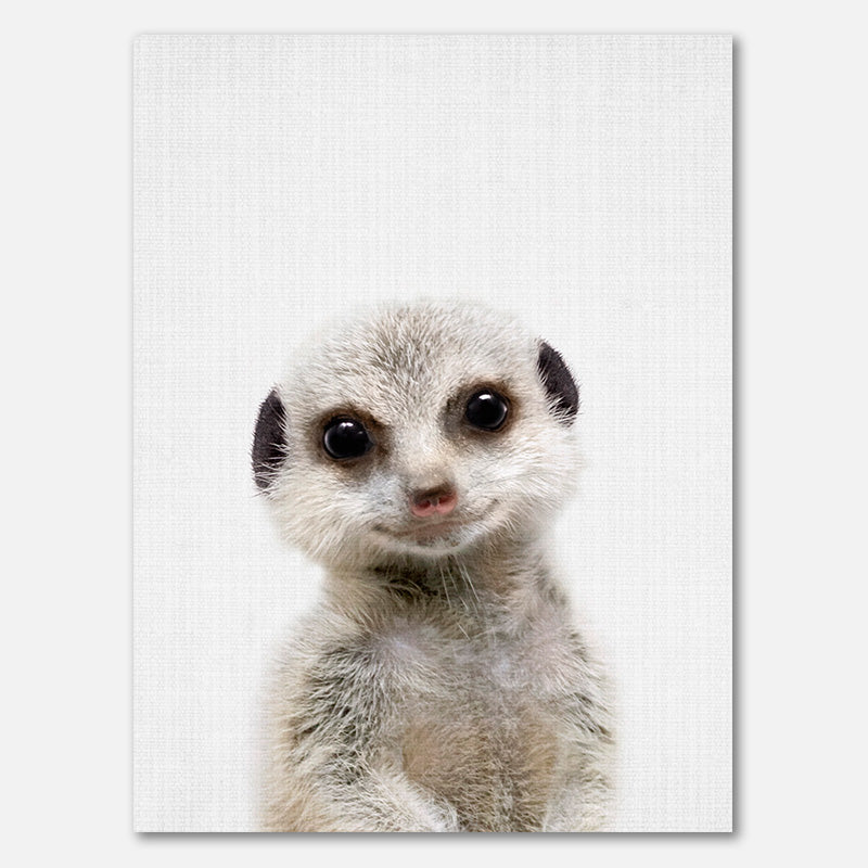 Peekaboo Baby Erdmännchen