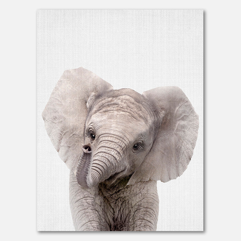 Peekaboo Baby Elefant