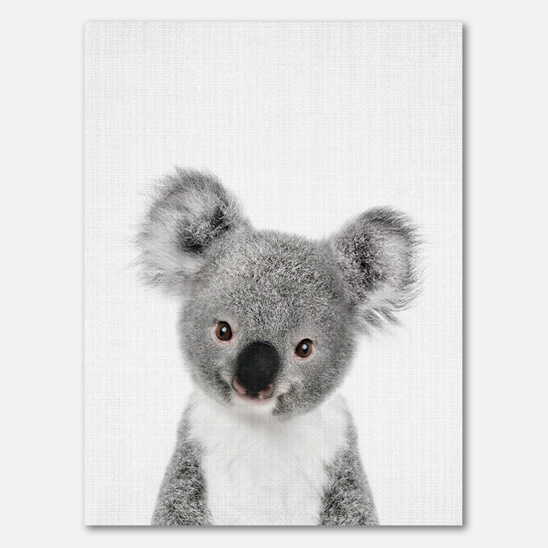 Peekaboo Baby Koala