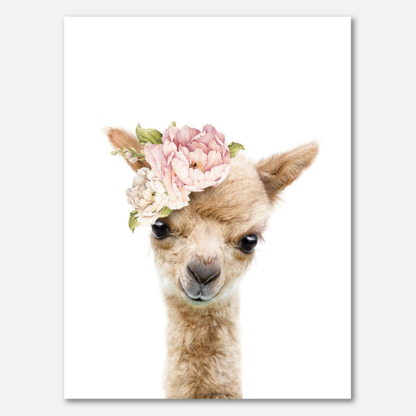 Floral Baby Llama