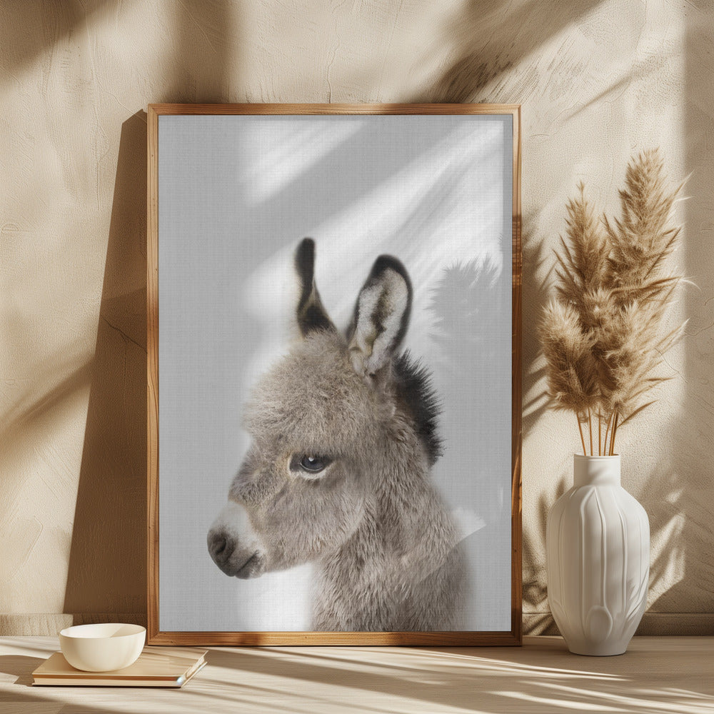 Peekaboo Baby Donkey