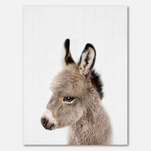 Peekaboo Baby Donkey