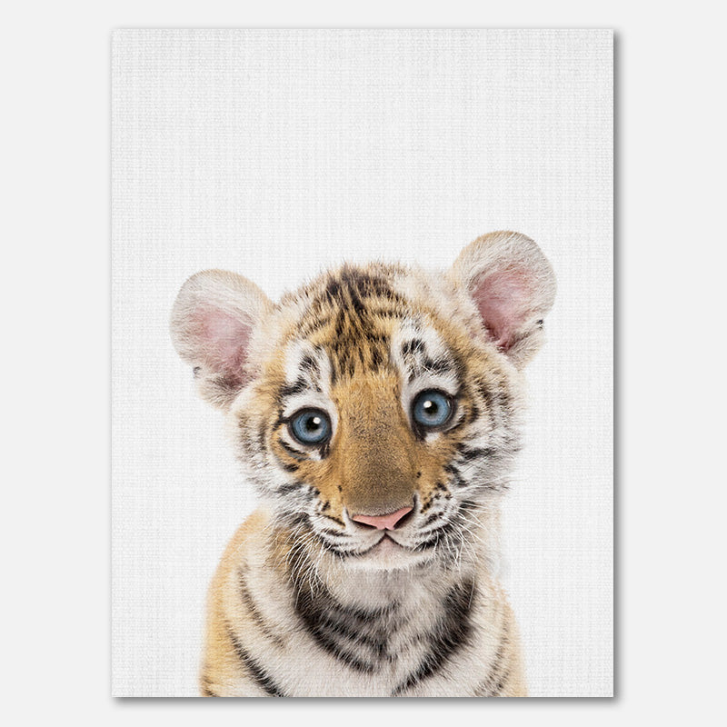 Peekaboo Baby Tiger