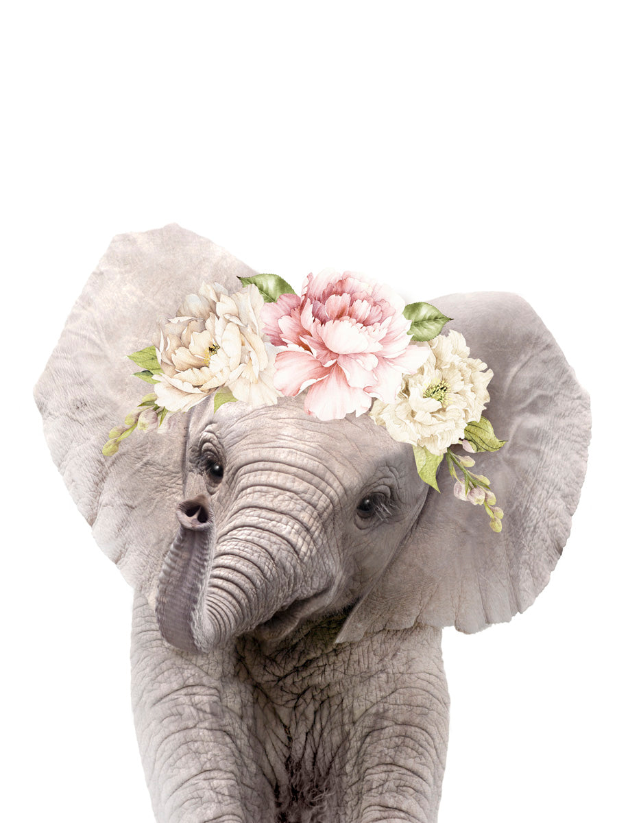 Florales Baby-Elefant
