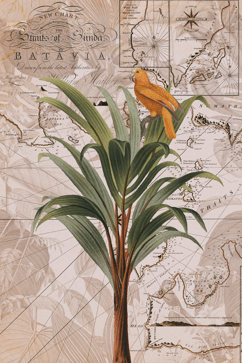 Indonesien Dschungelparadies Nr. 2