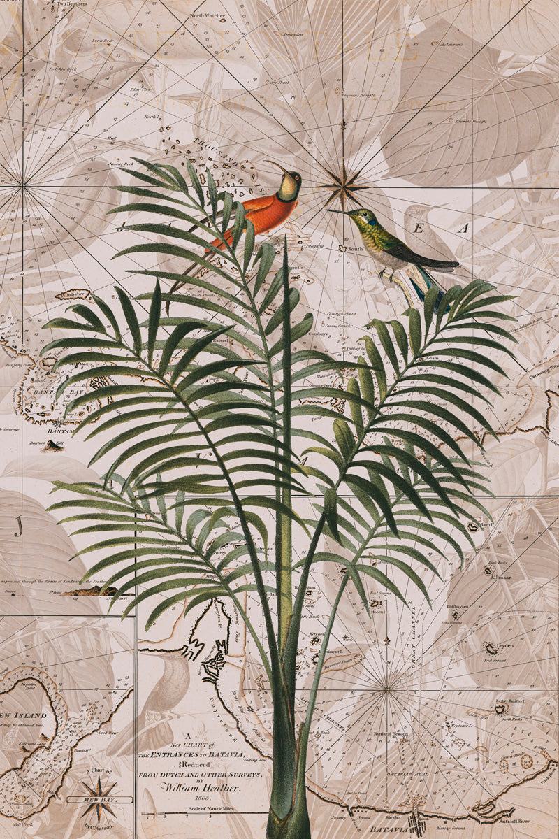 Indonesien Dschungelparadies Nr.4