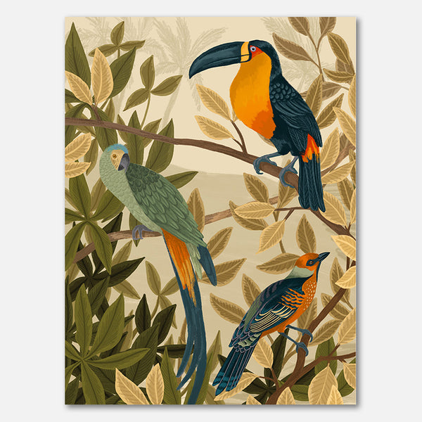 Paradise Birds