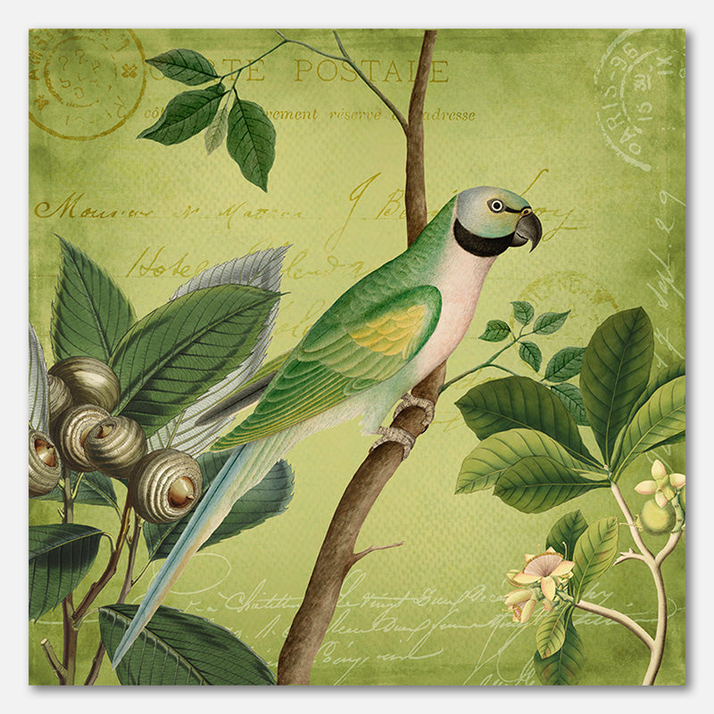 Bird Paradise Garden