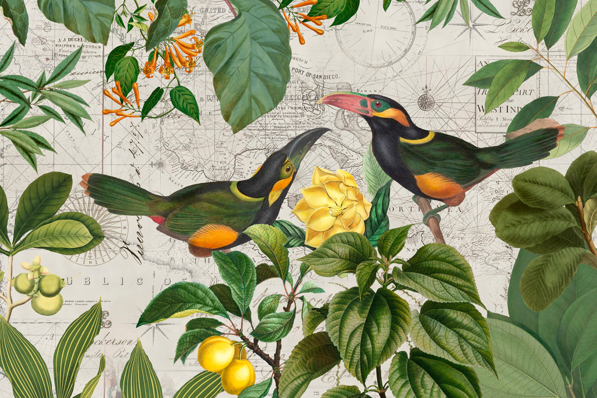 Parrots Nostalgic Journey 2