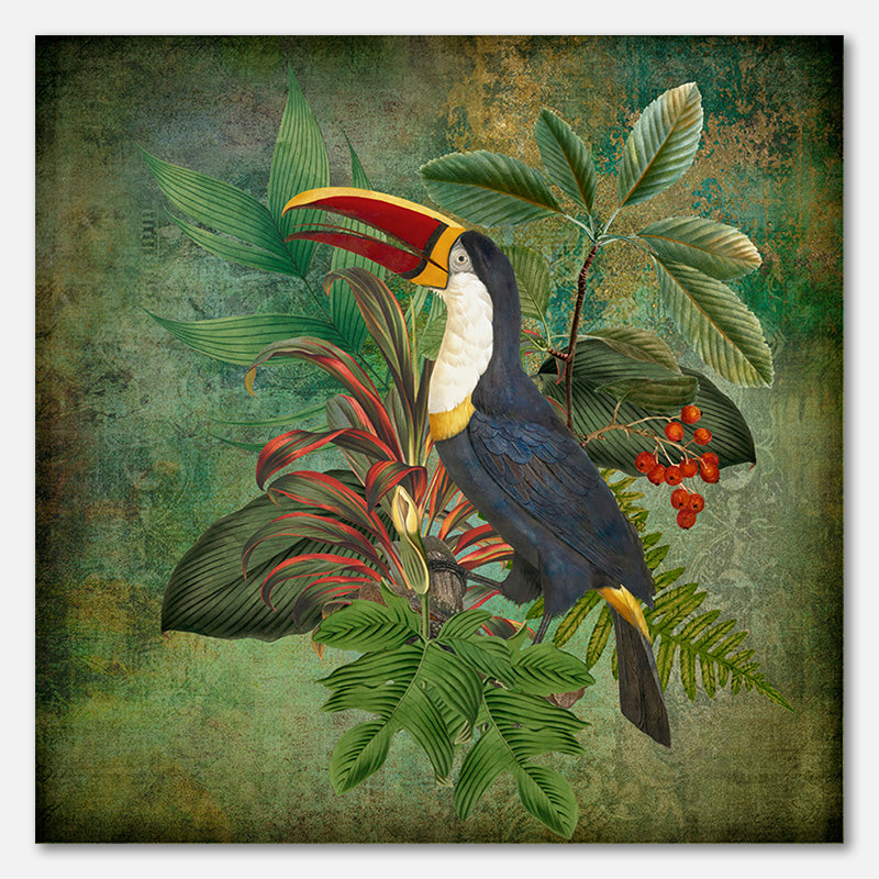 Toucan