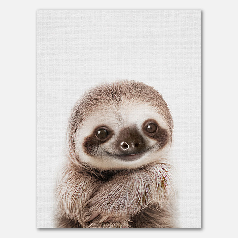 Peekaboo Baby Faultier