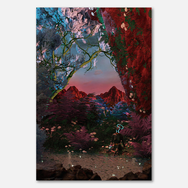 Still Life Fishing Pond