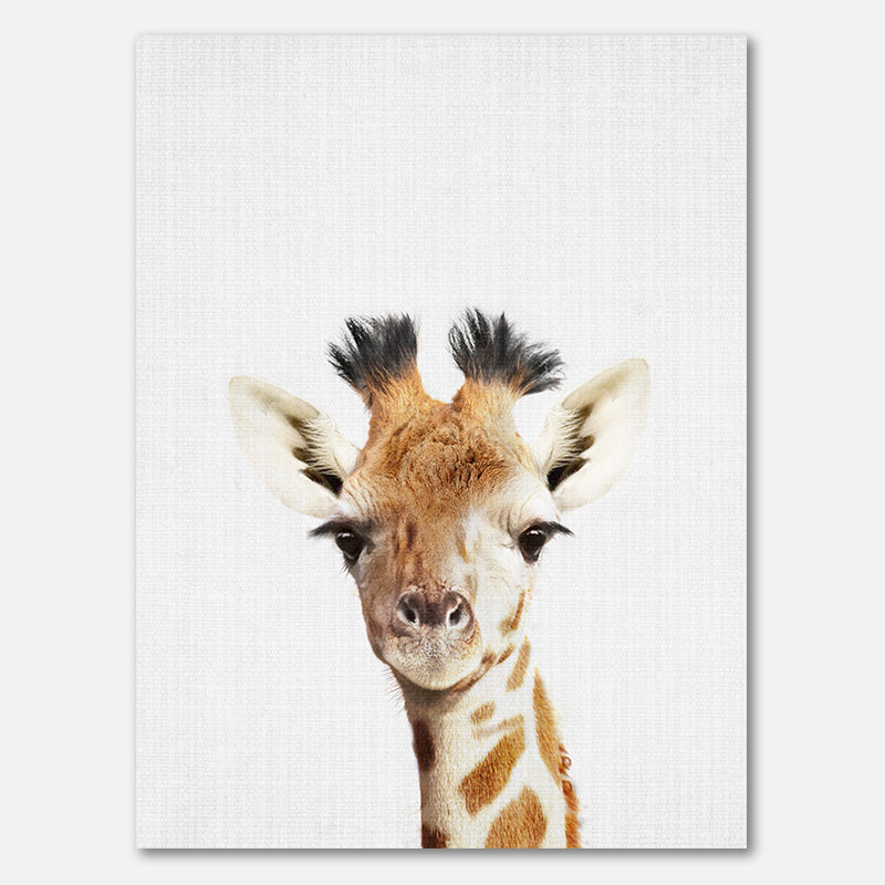 Peekaboo Giraffe