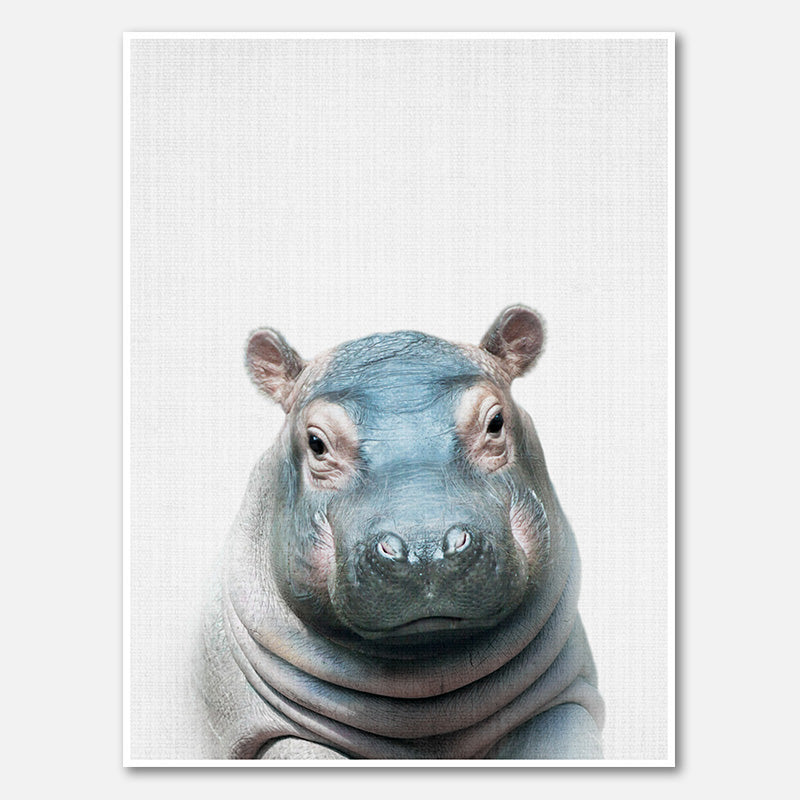 Peekaboo Hippo