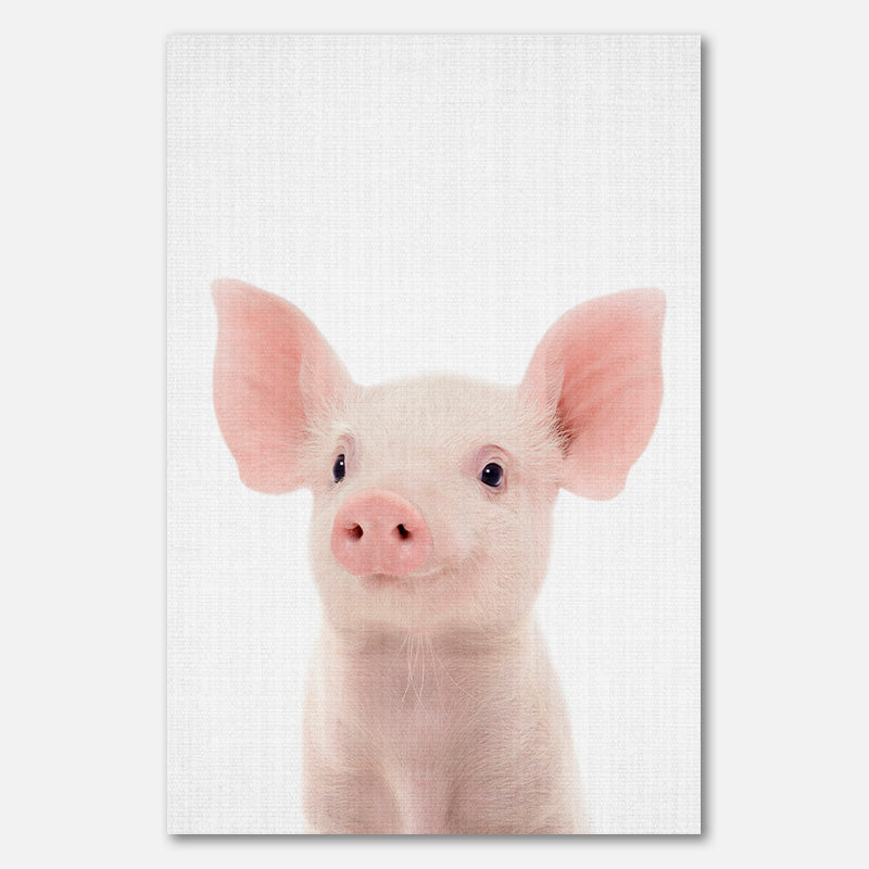 Peekaboo Baby Schwein