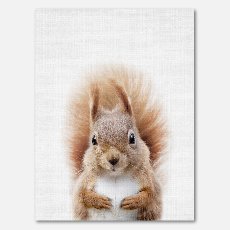 Peekaboo Eichhörnchen