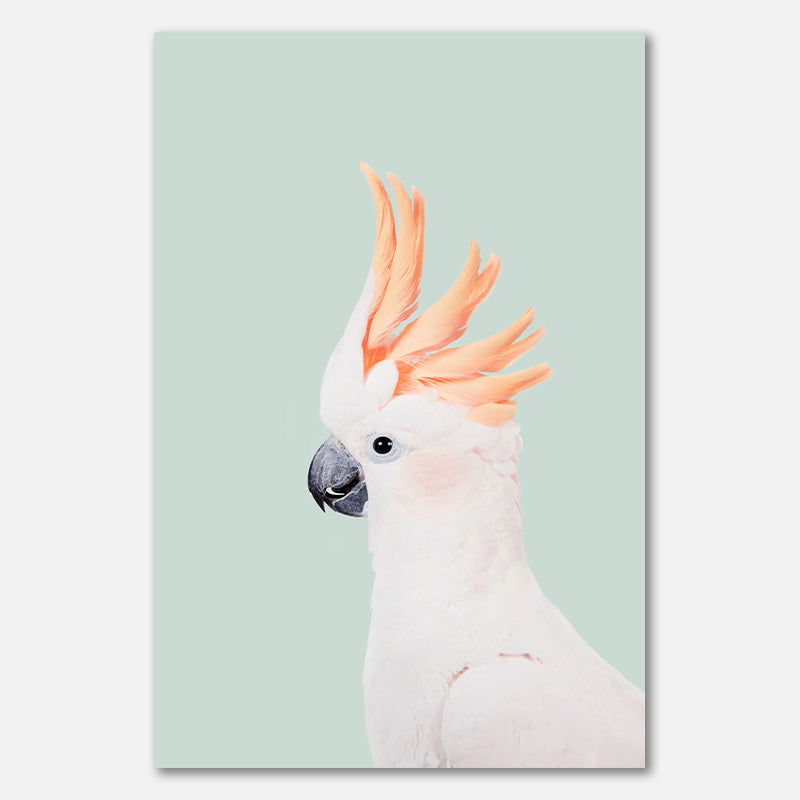 Cockatoo on Mint