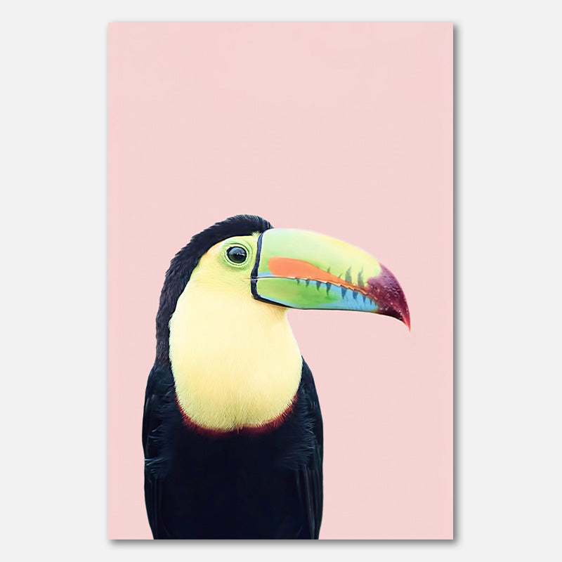 Toucan on Pink