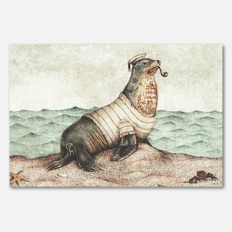 Behalte die Küste im Auge