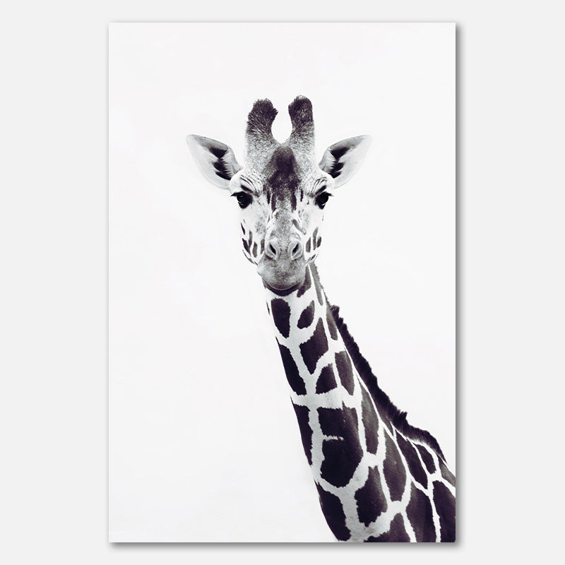 Giraffe Portrait