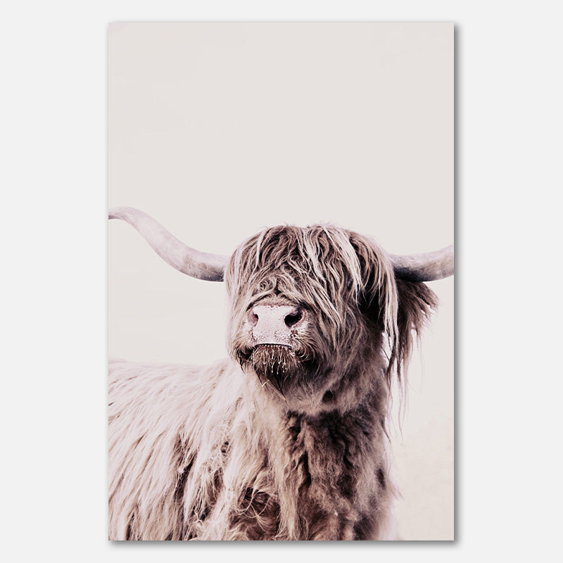 Highland Cattle Frida Creme