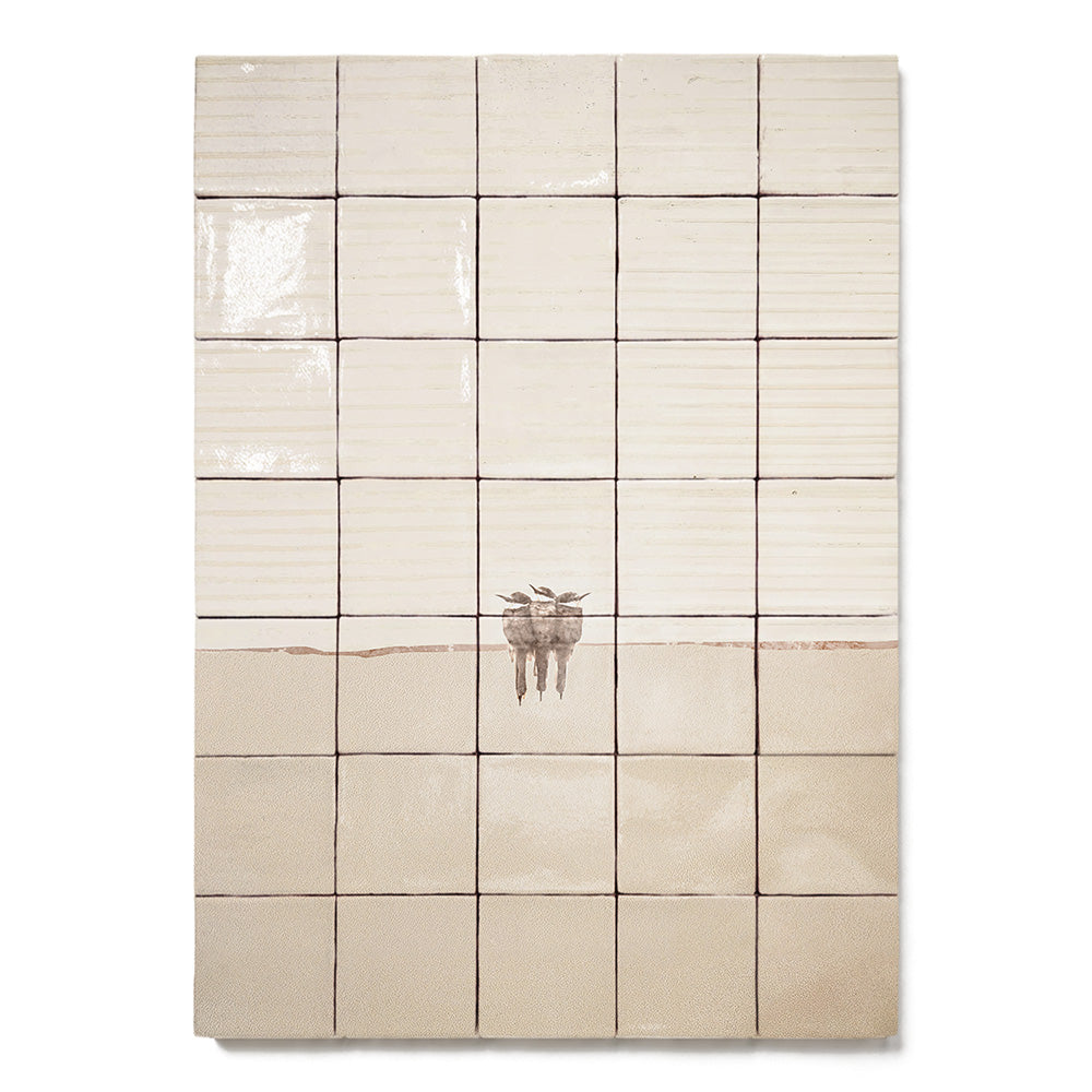 formaat 50 x 70 cm