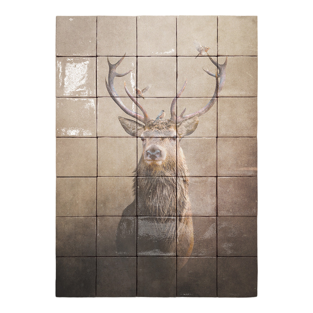 formaat 50 x 70 cm