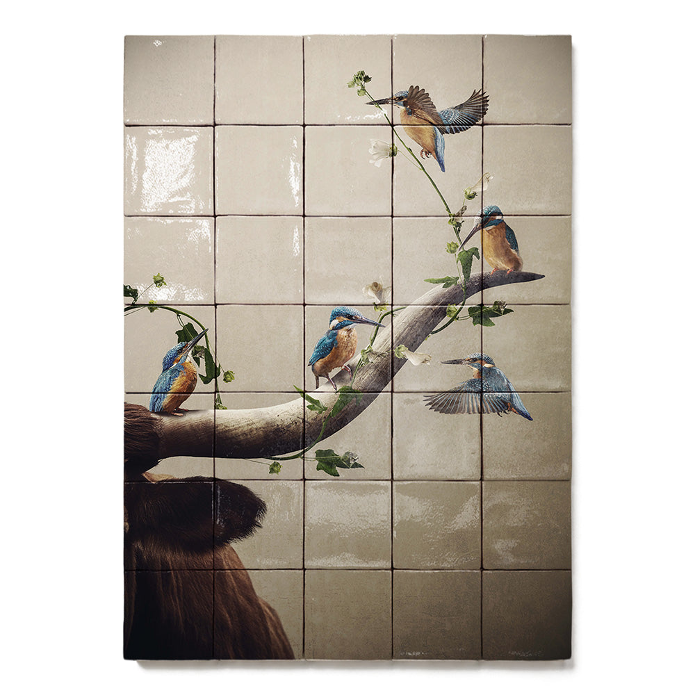 formaat 50 x 70 cm