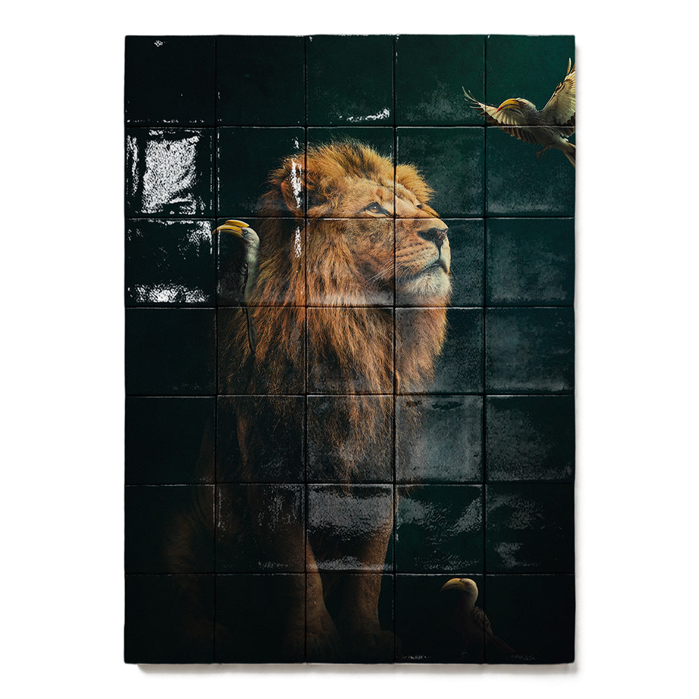 formaat 50 x 70 cm