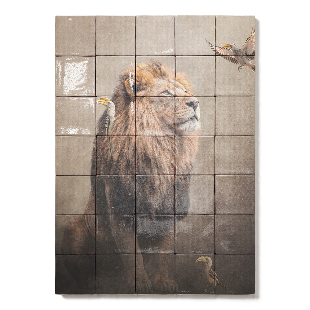 formaat 50 x 70 cm