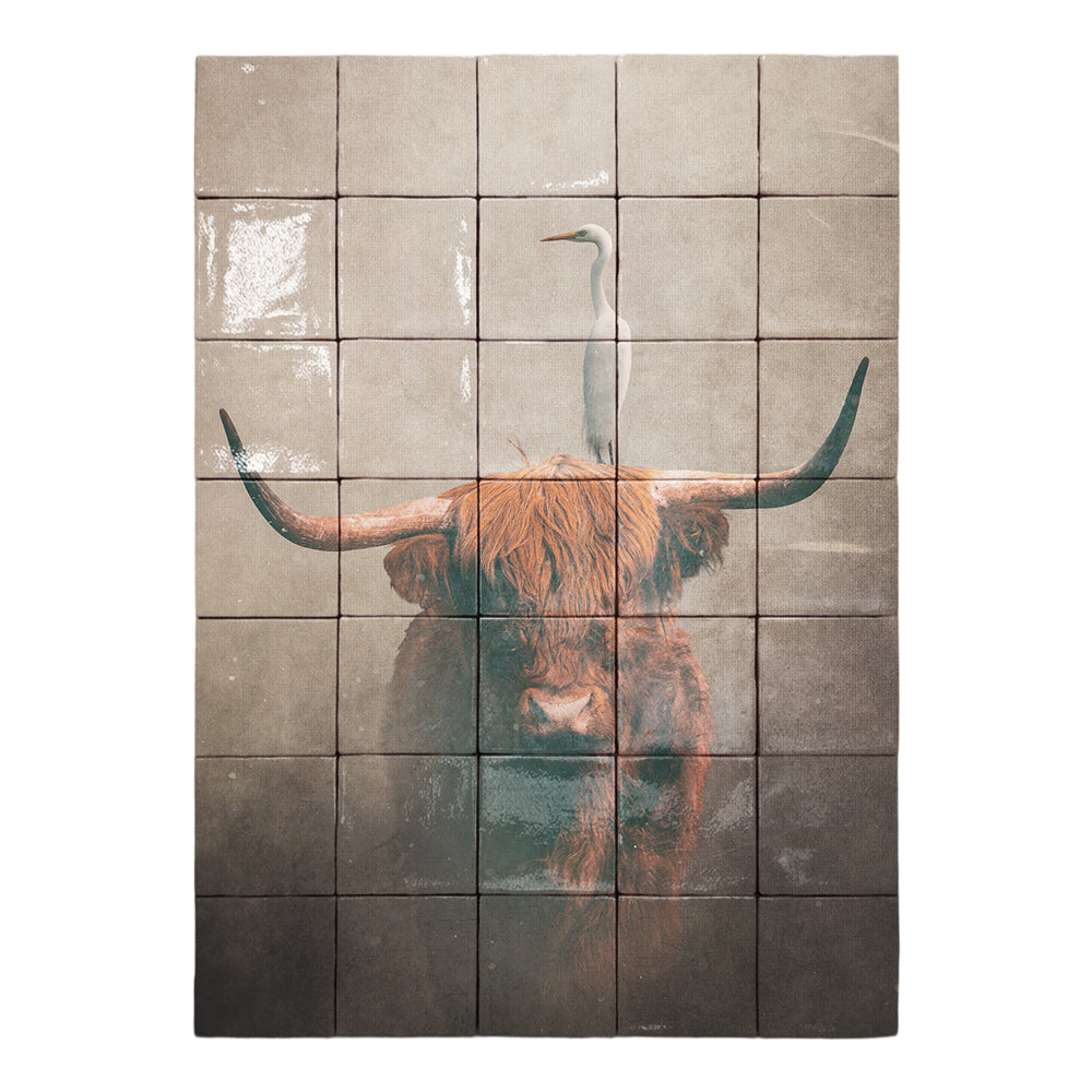 formaat 50 x 70 cm
