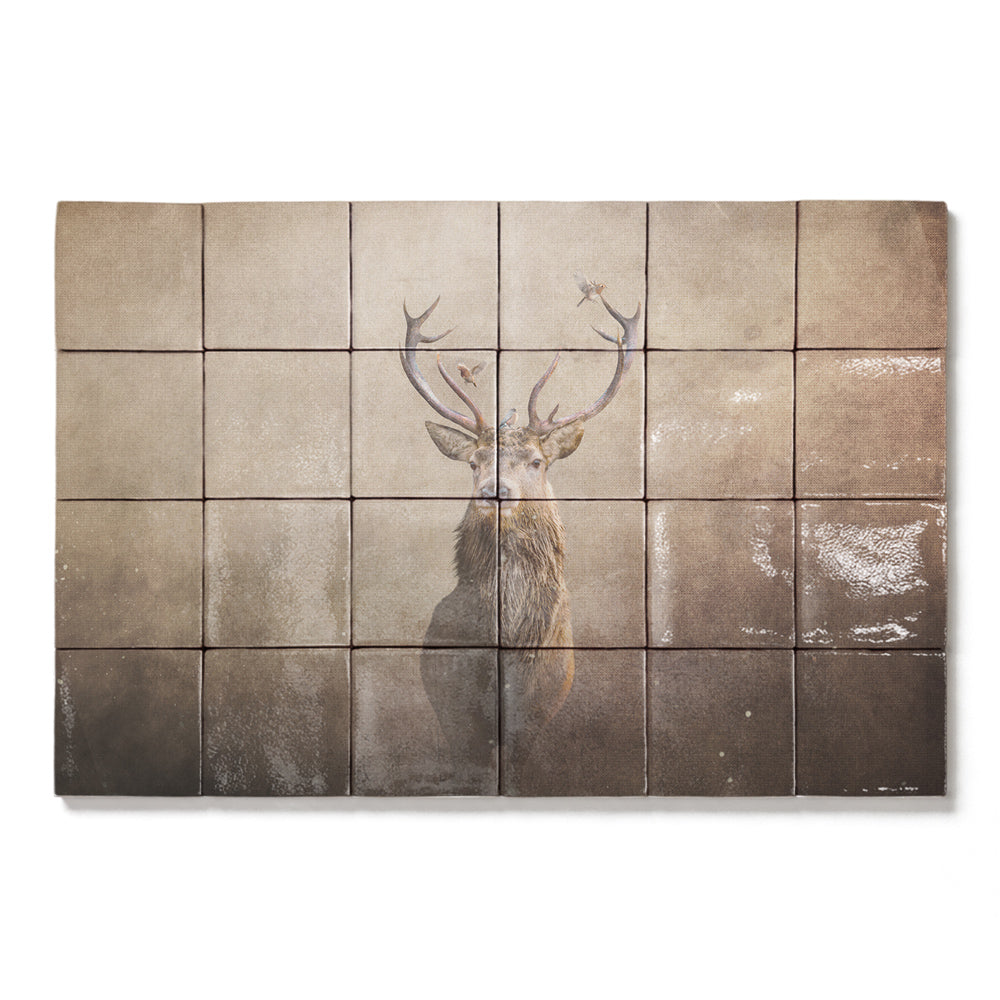 formaat 60 x 40 cm