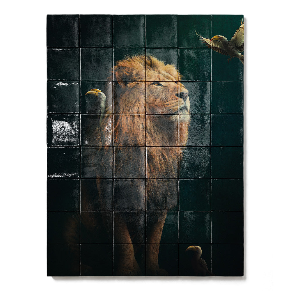 formaat 60 x 80 cm