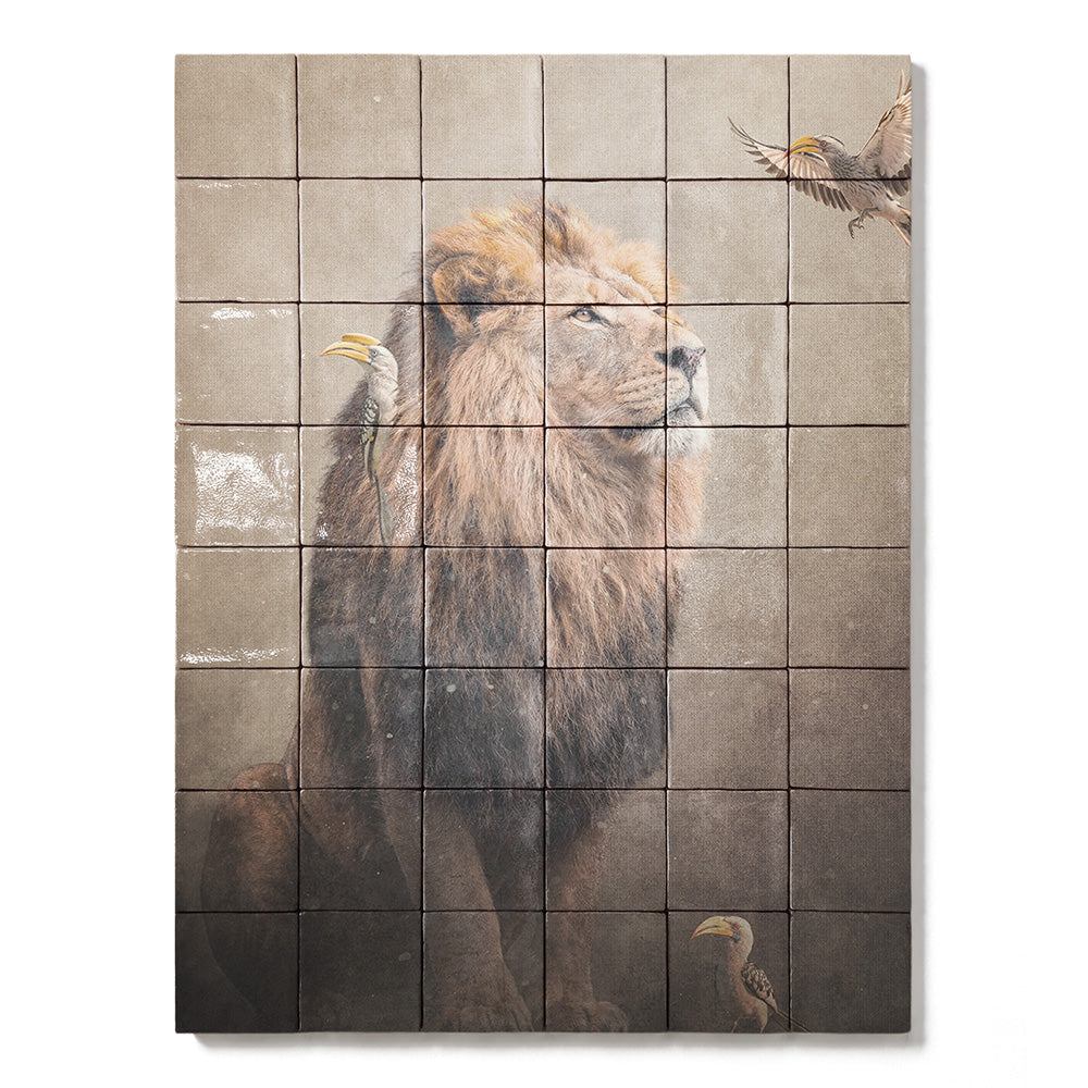 formaat 60 x 80 cm