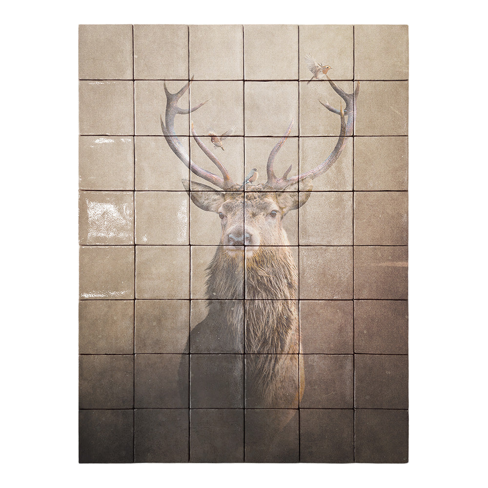 formaat 60 x 80 cm